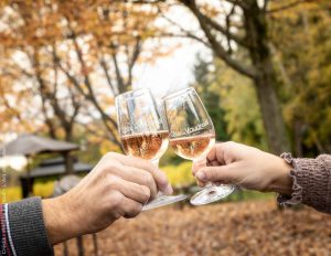 Des vins d&rsquo;ici à découvrir