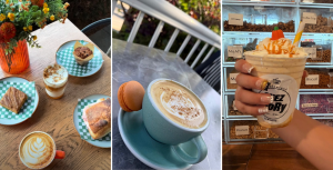 La saison du pumpkin spice